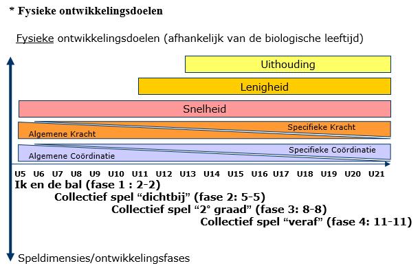 De opleidingsfases - In het verlengde van de opleidingsvisie van Voetbal Vlaanderen onderscheiden we in ons opleidingstraject de volgende opleidingsfases: Categorie Ploeg Niveau Opleidingsfase U6