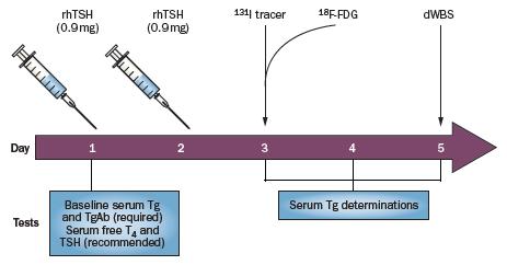 TSH gestimuleerd Tg rhtsh Stoppen T4 substitutie Cut-off 1 µg/l voor