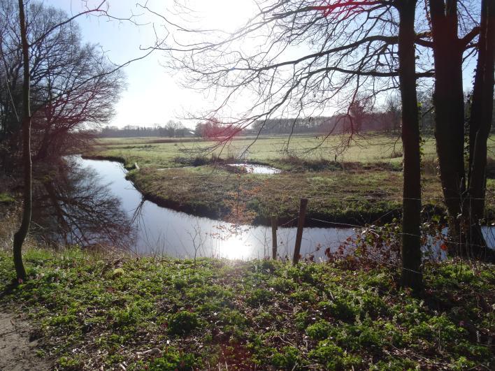 4 Natuurbeleving Loop van de Reest Op de grens van Overijssel en Drenthe stroomt het riviertje de Reest dat een uniek dal heeft gevormd met oude houtwallen,