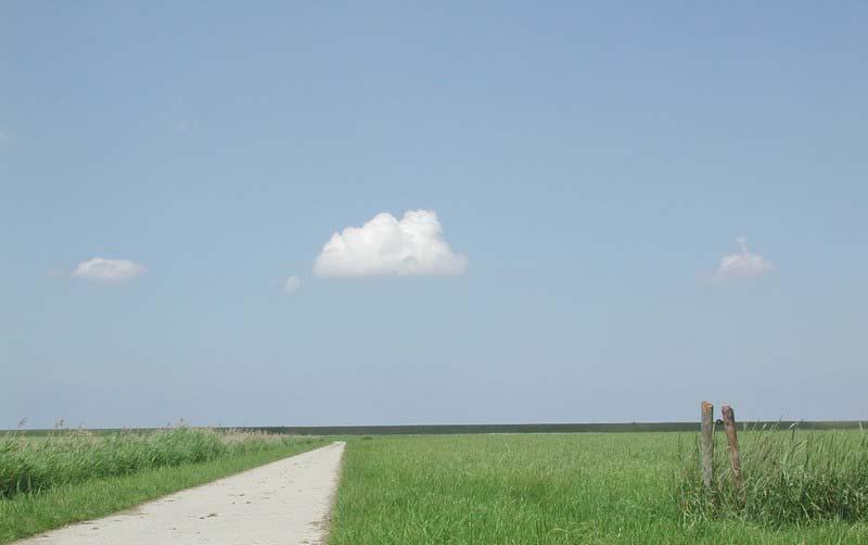 Websites Hope Farm: http://www.rspb.org.uk/countryside/farming/hopefarm/index.asp Instituut voor Bos- en Natuuronderzoek (Vlaanderen): http://www.inbo.be/content/page.asp?pid=fau_vo_akkervogels KNAW project: Veldleeuwerik een zoektocht naar duurzame akkerbouw: http://www.