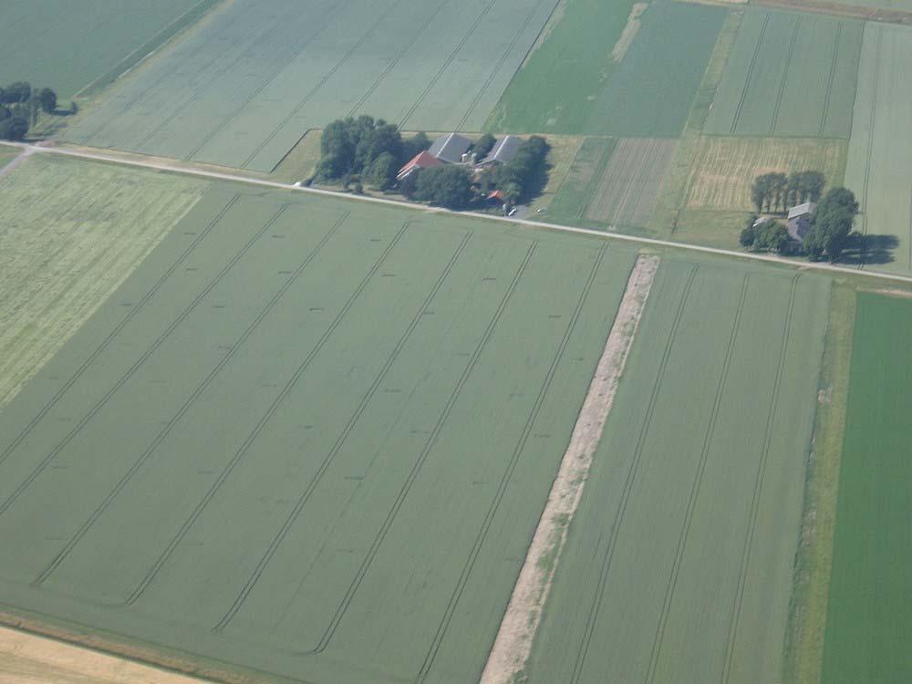 INLEIDING SOVON Vogelonderzoek Nederland heeft 2006 uitgeroepen tot het jaar van de veldleeuwerik.