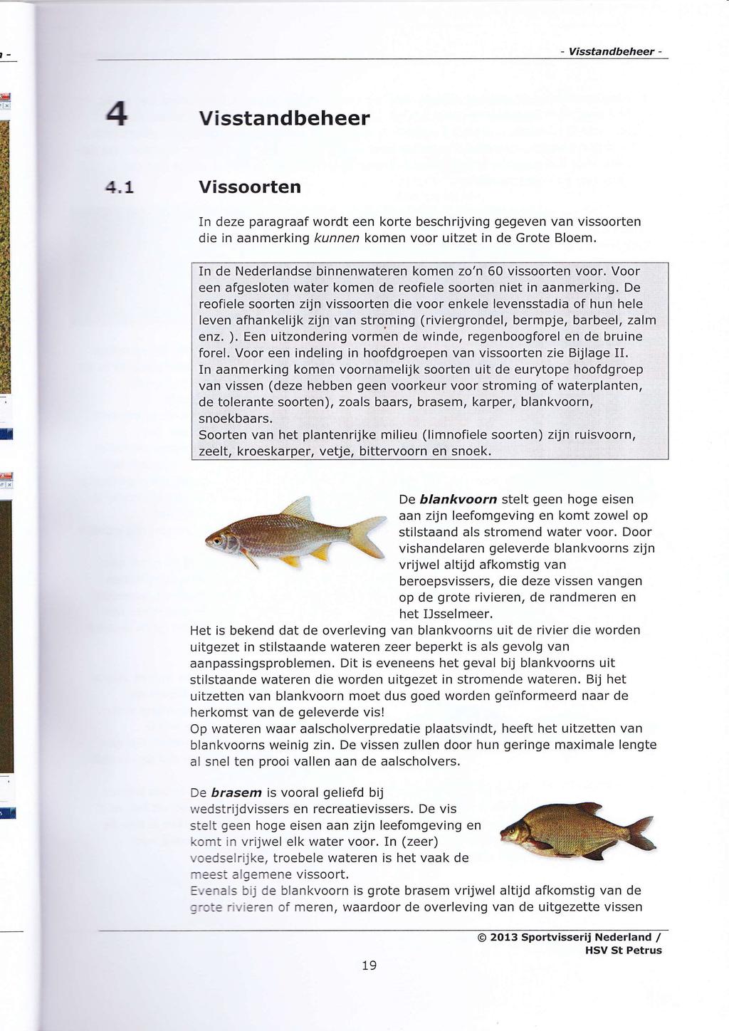 ,- Visstandbeheer - 3r.l Visstandbeheer 4,L Vissoorten In deze paragraaf wordt een korte beschrijving gegeven van vissoorten die in aanmerking kunnen komen voor uitzet in de Grote Bloem.