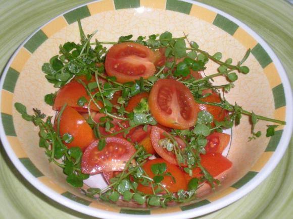 vitamine C gehalte staat ook leuk op de paastafel in plaats van de traditionele tuinkers.