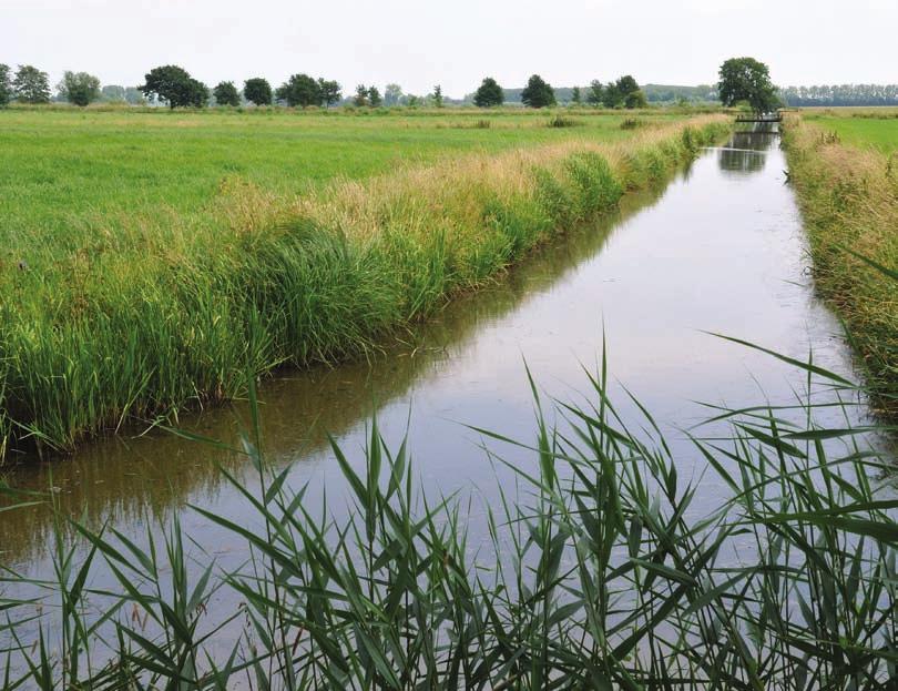 46 Kernkwaliteiten Nieuwe Hollandse Waterlinie Ontwikkelingsperspectief Voor het ruimtegebruik van de inundatiekommen kan op hoofdlijnen gezegd worden dat grondgebonden agrarische activiteit, natuur,