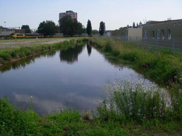 Voorbeelden Zwolle -