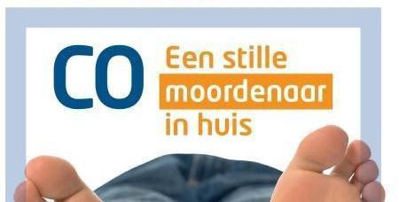 MILIEU NYRSTAR IN DE GEMEENSCHAP Koolmonoxide vergiftiging Sinds 2007 is het aantal gevallen van koolmonoxidevergiftiging gestegen.