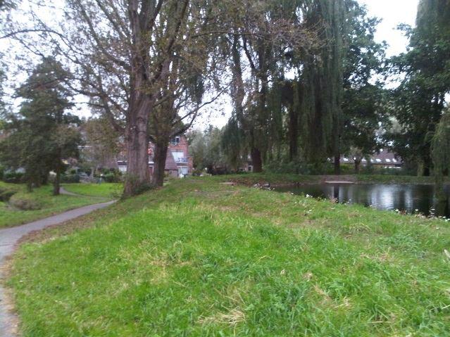 Tijdens de kade-inspectie is gekeken of de boom echt een gevaar vormt. In die situatie rest vaak niets anders dan het kappen van de boom. Hoe vervelend dat ook is.