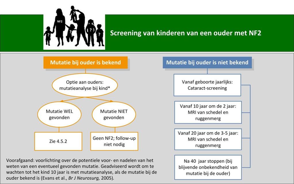 In figuur 3 wordt het screeningsbeleid samengevat tot het moment dat de diagnose NF2 gesteld is d.m.v. DNA-mutatieanalyse bij het kind 20. Follow-up onderzoeken van het aangedane kind worden in 4.5.