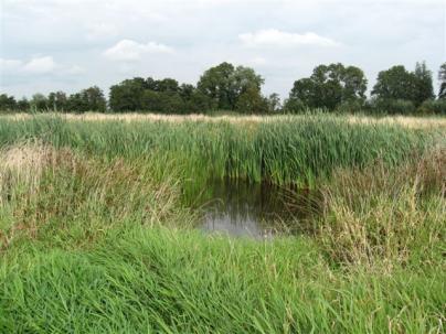 Poelnummer Woudhoek West 46 Waterstand > 50 cm