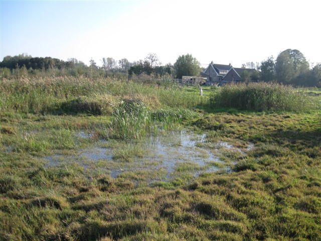 Datum bezoek 20 september 2010, 18 september, 22 september Diameter 70 m Waterstand < 30 cm Dichtgegroeid Poelnummer Holierhoek 106 Datum bezoek 20