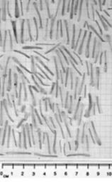 3.3 ADAPTATIE VAN DE MICROFLORA EN PENSEPITHEEL DOOR STEAMING-UP Tabel 4: vergelijking steaming-up met gerst of pensbestendige soja; Naar Reynolds et al.