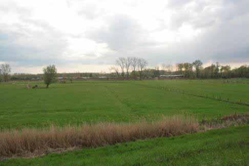 Fig. 3: Foto van het landschap ten tijde van het onderzoek. 3 Methodiek Er werd een zone van 20 bij 5m afgebakend voor het onderzoek.