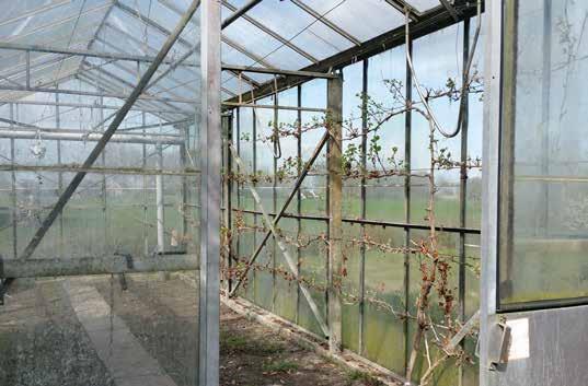 In de zijtuin aan de westzijde heeft u een heerlijk zonnig