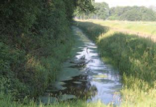 Landschap, omgeving en milieu Huidige situatie Ansen ligt midden in de natuur, het grenst aan het Dwingelderveld en aan het Landgoed Rheebruggen. Ook het natuurgebied de Zure Venen ligt in Ansen.