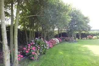 De tuin wordt omringd door een oud hekwerk, begroeid met klimop en een groenstrook begroeid met onder