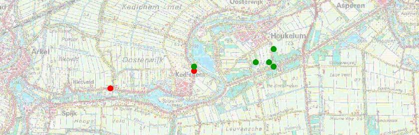 Tijdens het aanvullende onderzoek naar het voortplantingssucces van kamsalamanders werd op locatie 4 (zie boven (x 130.18 y 430.23)) een grote modderkruiper in een fuik gevangen.