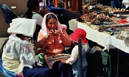 Dag tot dag beschrijving Rechtstreeks naar het hart van het land en de Indianencultuur: Quito & Otavalo Dag 1. Amsterdam - Quito - Otavalo Dag 2. Otavalo Dag 3.