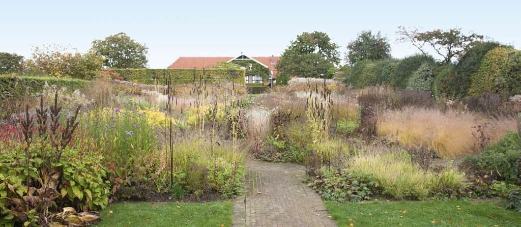 Siergrassen groeien overal Grassen zijn veelal probleemloze planten die beplantingen een natuurlijke uitstraling geven en gedurende meerdere seizoenen hun sierwaarde behouden.