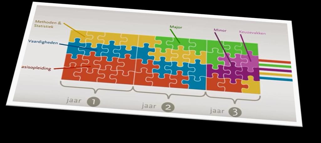 Jaar 3: Individuele differentiatie Je kiest een