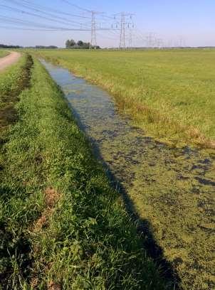 Voordeldonksche broekloop 13-10-2015 15-18 Weidum 7-10-2015 4 - - - Schonen 75% 19 Kampereiland 11-9-2015 11-20 Klaverkampsw eg 5-11-2015 6 - - 21 Koffiegoot