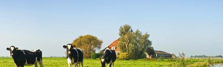 Laag Holland en gebiedscollectief Water, Land