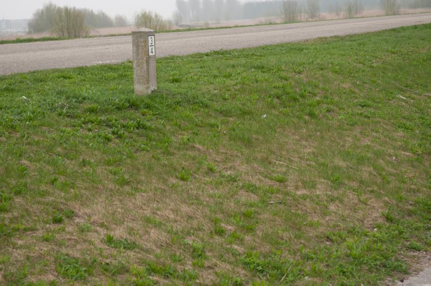 het opstellen van het beheerdersoordeel (BO) in de verlengde derde toetsronde.