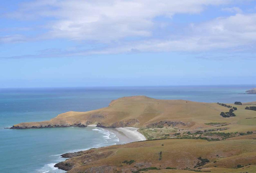 21d. Nieuw-Zeeland Cruise van 13 januari tot 2 februari 2019 Noord en Zuid iland, Tasmanië met