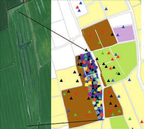 gebied eruit zien? Wat is een effectieve ruimtelijke samenhang tussen reservaten en beheersmozaïeken op het boerenland? Verder (wetenschappelijk) onderzoek hiernaar is nodig.