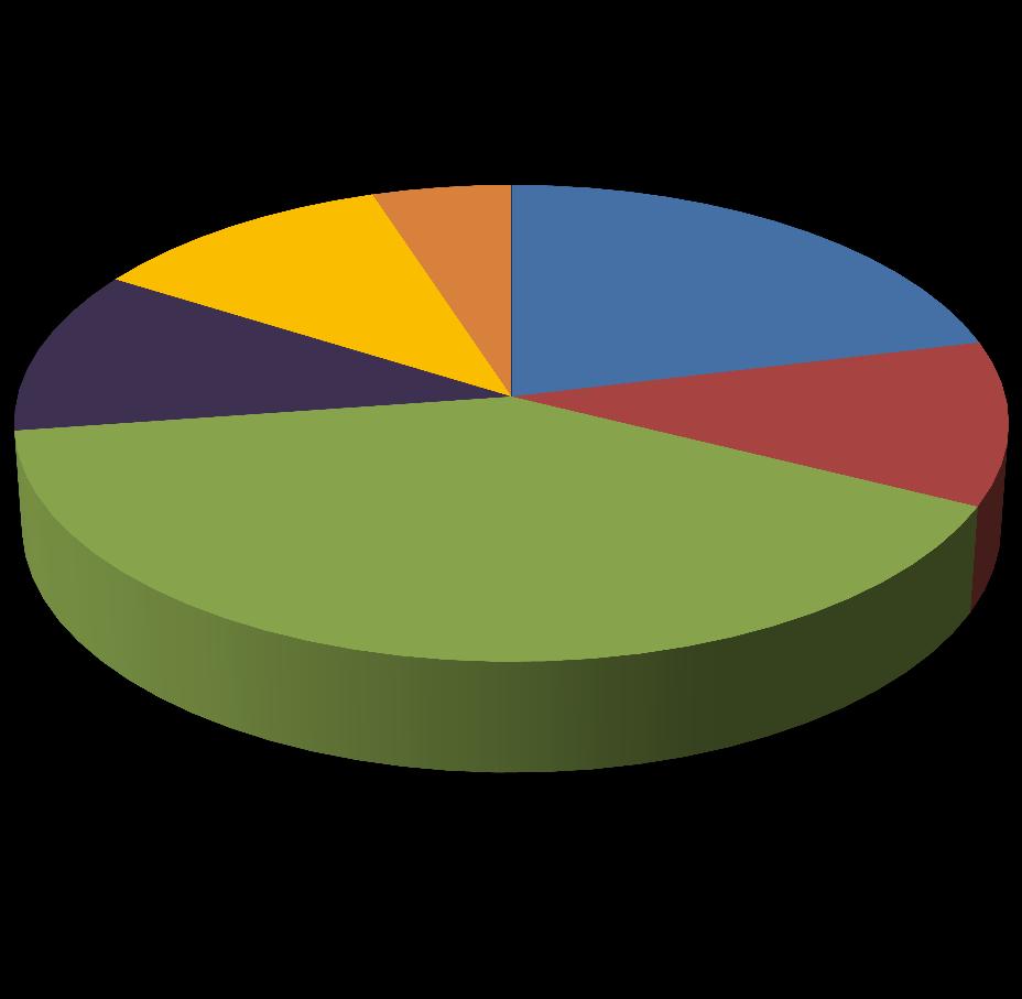 cultuur vrije tijd bib 11% 5% 21% sport 11% 11% jeugd KA 40% feesten,plechtigheden Dienst net resultaat 2012 % AD Cultuur -645.