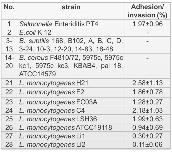 Listeria monocytogenes, geen halo: toetsen met Caco-2 cellen op hechting en invasie Salmonella + control E.