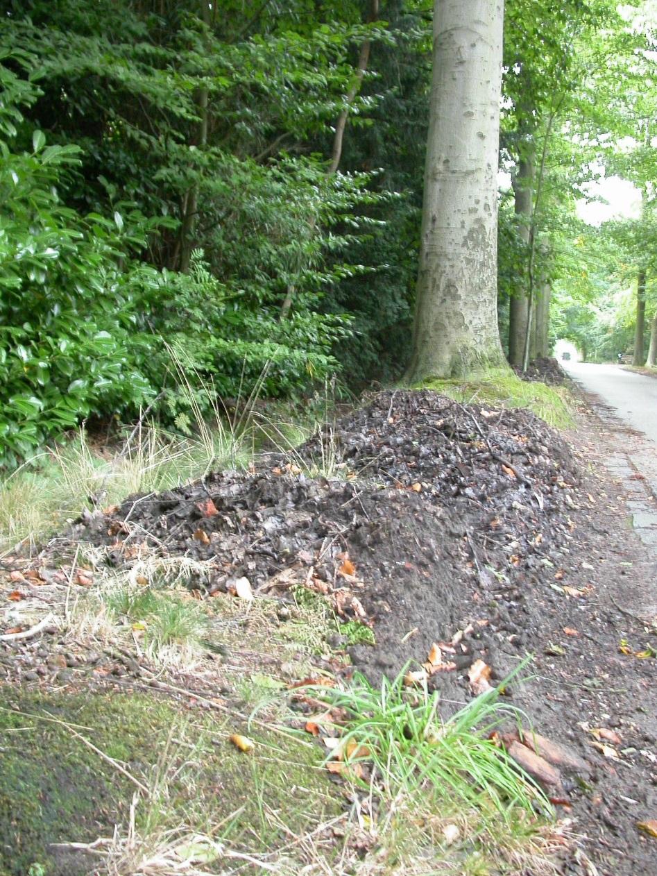 Roosmarijn Steeman Bedreiging van paddenstoelrijke dreven Gebruik als parkeerplaats Overbetreding Hondendrollen Ruimen van de beek en slib storten op de berm