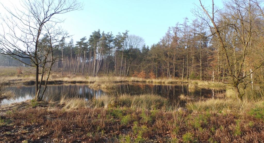 Natura 2000 (Informatie over het ontwerp-beheerplan) Op maandag 14 november 2016 was er in Hotel Parc Spelderholt een informatiebijeenkomst waar de Provincie Gelderland informatie gaf over het