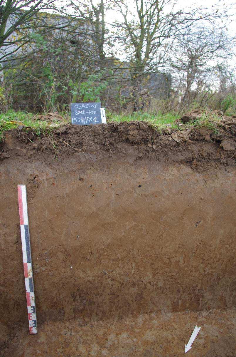 7. BESCHRIJVING VAN HET ARCHEOLOGISCH ONDERZOEK 7.1. Inleiding Het onderzoeksgebied ligt op een lichte helling. Op verschillende plaatsen kwamen sporen uit diverse periodes aan het licht.