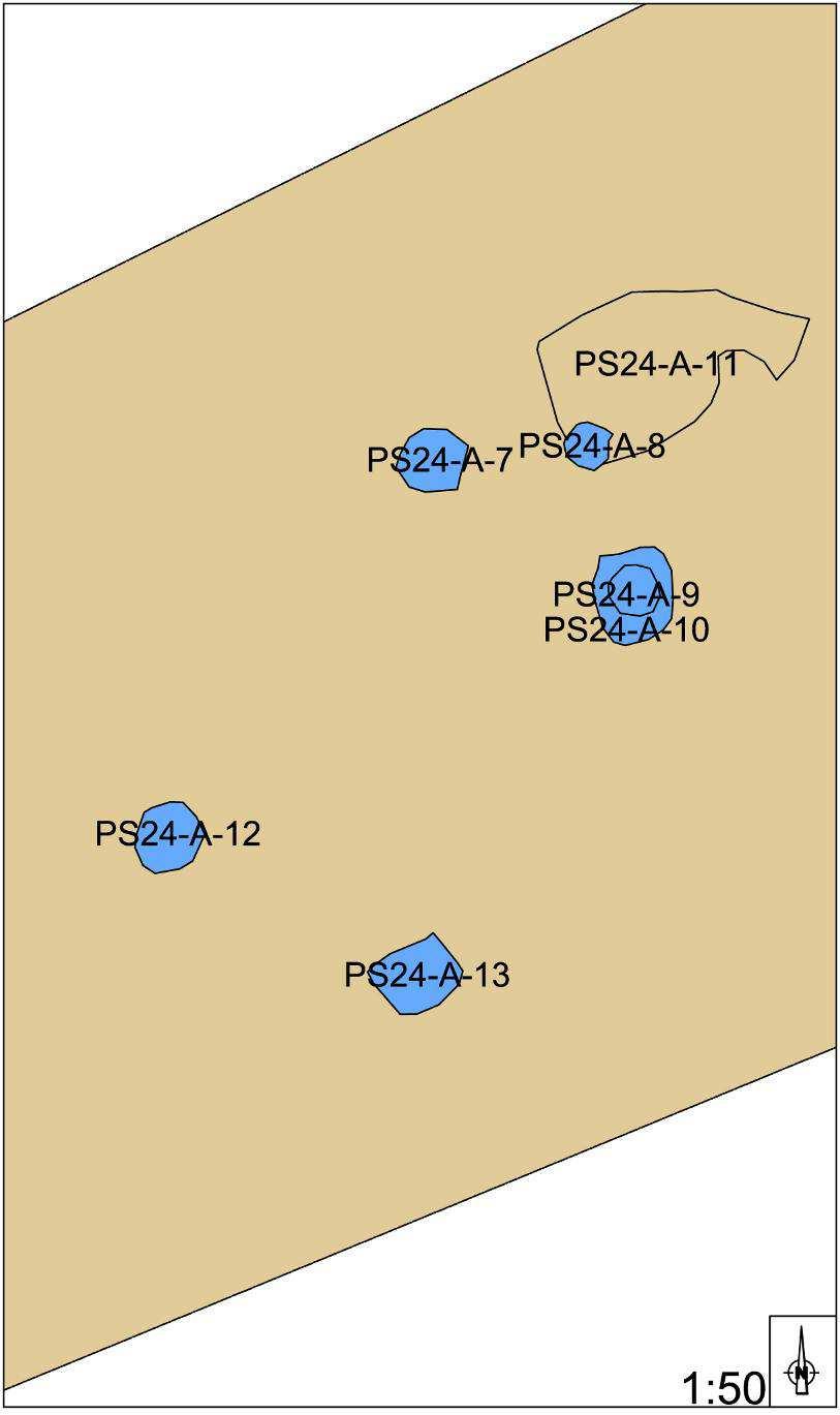 7.3.3. Een spieker In proefsleuf 24 bevindt zich een spieker (Fig. 14, Afb. 8).