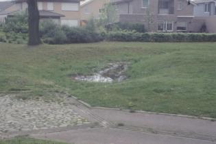 Foto 6 Enschede (NL, woonwijk Ruwenbosch). Regenwater wordt ook in deze wijk naar wadi s geleid, die zelfs als verkeersremmer worden ingeschakeld. Foto 7 Kolding (DK).