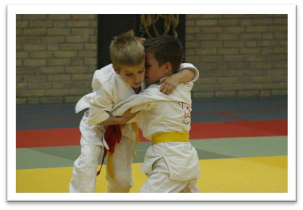 Lex is met andere judo keien ook lid van de Dan- Graden commissie die examens afneemt voor de zwarte band en hoger. Samen met echtgenote Thea is hij graag actief bij graduaties en de Kagami Biraki.