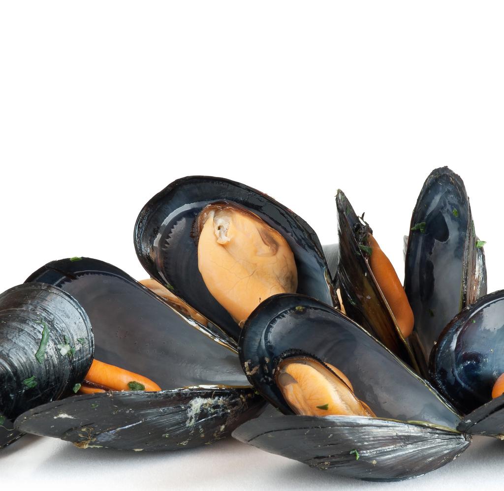 BLUE MUSSELS IN WITTE WIJN EN KNOFLOOK Ingrediënten: 4 pond verse Blue Mussels 1 kopje witte wijn 4-6 teentjes geperste verse knoflook 1 gesneden ui 2-3 gesneden selderijstengels Bereiding: 1.