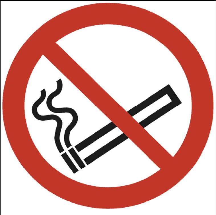 2 Verboden te roken Open vuur verboden 11.3 Volgens het Handboek Evenementen Maken van VVEM (2006) zouden kampvuren moeten worden verboden als er bij een meerdaags evenement wordt gekampeerd.