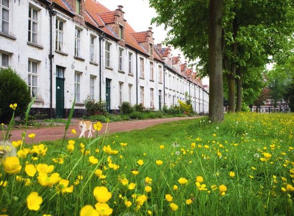 Gedachten op de loop in Dendermonde een stad vol folklore, traditie en geschiedenis Het Sint-Alexiusbegijnhof is een oase van rust Tenerae Monda, zoals Dendermonde oorspronkelijk werd genoemd, is