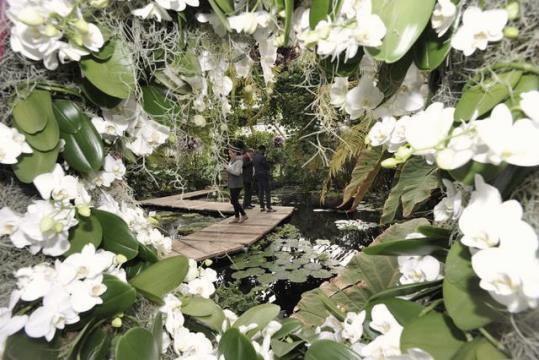 Oefening 2 Lees de tekst over de Plantentuin in Meise aandachtig. Plantentuin Meise Wat? De Plantentuin Meise is een van de grootste plantentuinen ter wereld en is vandaag 92 ha groot en herbergt 18.