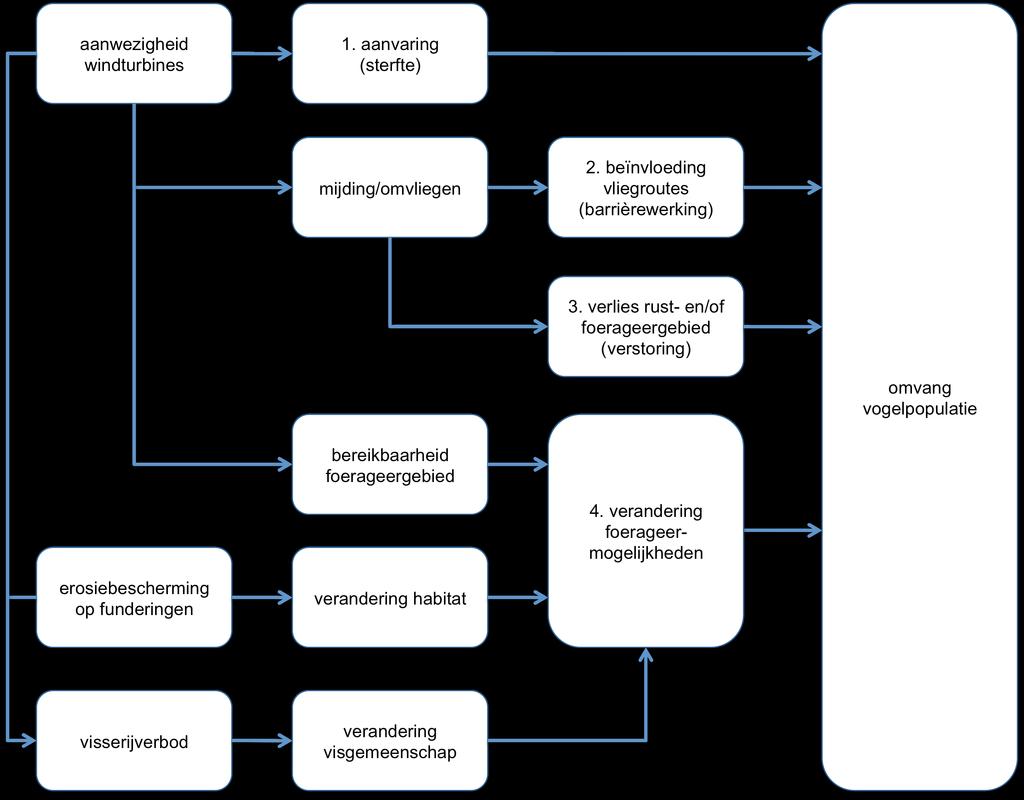 Figuur 2-1 Vereenvoudigd schema van de relaties tussen de aanwezigheid van een windpark op zee en vogelpopulaties, zie Fox e.a. (2006) voor een meer gedetailleerd schema Ad 1.