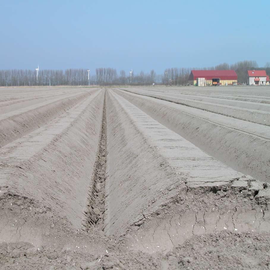 Organische stof in de bodem Het organische stofgehalte van de bodem is een belangrijke bodemeigenschap.