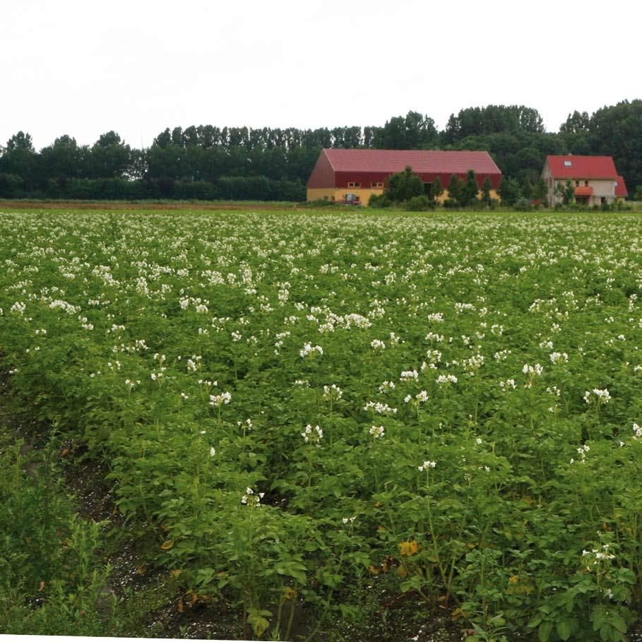 Potstalmest vers Dunne mest rundvee Minerale mest GFT compost met dunne mest Kippenmest met dunne mest Potstalmestcompost Potstalmest intens.