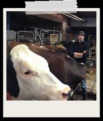 000 kg melk per melkrobot en 20% vrije boxtijd, zijn het koeien die voor je willen werken!