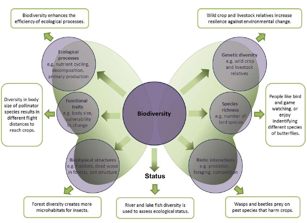 bodemstrategie het thema bodembiodiversiteit geoperationaliseerd volgens punten 1 en 2 uit bovenstaande structuur.