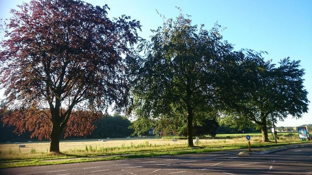 Blik over de Soestdijkseweg in zuidoostelijke richting.