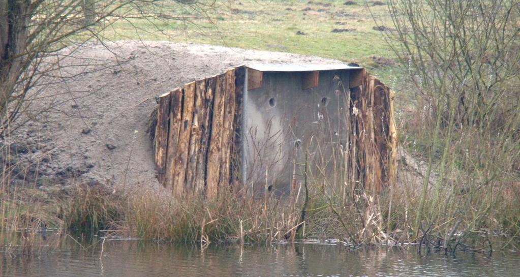 Afbeelding 5. Plaatsing ijsvogelwand in Gilze 2.