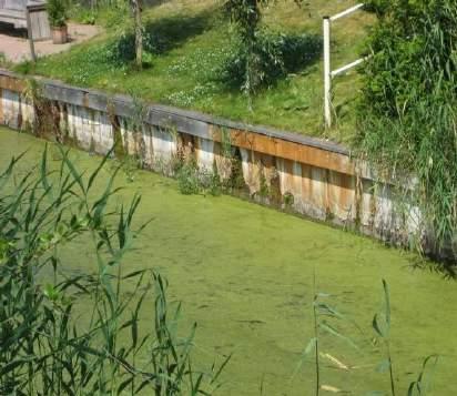 5mm; Vegetatie: Er is geen vegetatie (hoog gras of onkruiden) zichtbaar langs of tussen de constructie wat hoger is dan de constructie; Verzorging: max.