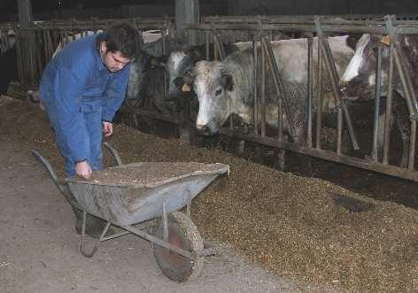 Les différents secteurs de l agriculture! L élevage! L horticulture!