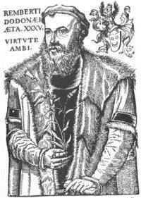 500 jaar Dodoens - Geboren in Mechelen in 1517 - Geneeskunde, plantkunde, klassieke talen en Wiskunde in Leuven - 1554 Cruydeboeck,